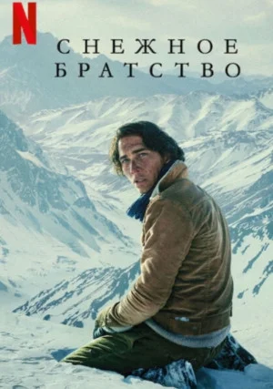 Общество снега