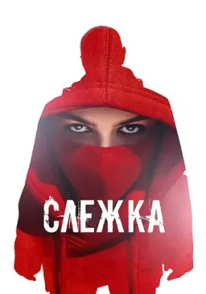 Слежка