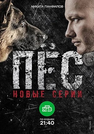 Пёс (сериал, +6 сезон)