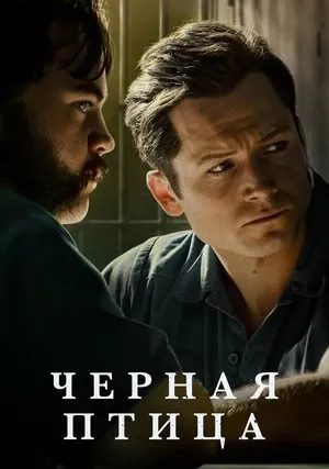 Чёрная птица