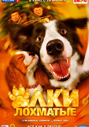 Ёлки лохматые