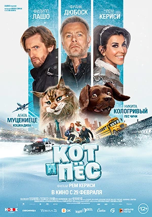 Кот и пёс