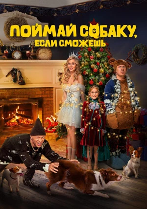 Поймай собаку, если сможешь