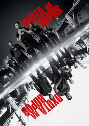 Охота на воров (фильм, 2018)
