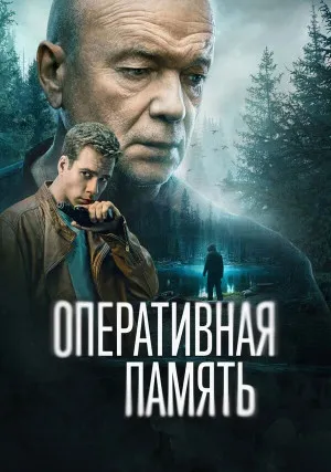 Оперативная память (сериал)